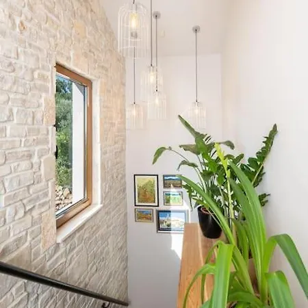 Willa Olive Garden Platinum,