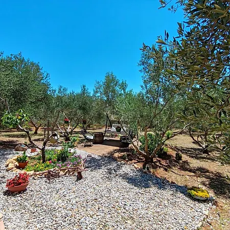 Olive Garden Platinum, *