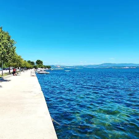 Olive Garden Platinum, Willa