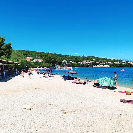 Olive Garden Platinum, *