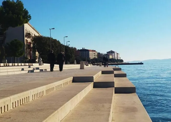 Olive Garden Platinum, * Posedarje