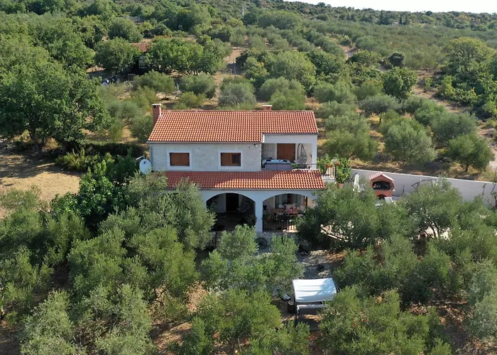 Olive Garden Platinum, * Posedarje