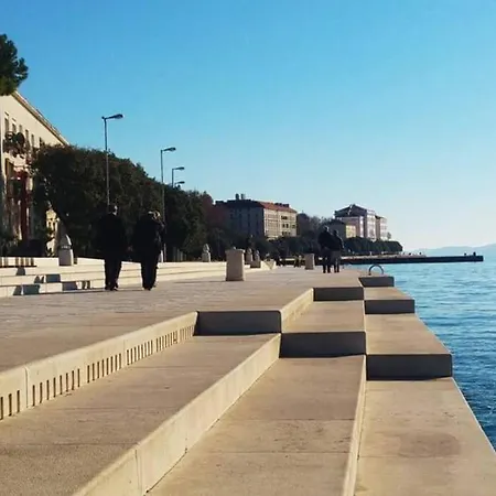 Olive Garden Platinum, * Posedarje