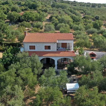 Olive Garden Platinum, * Posedarje