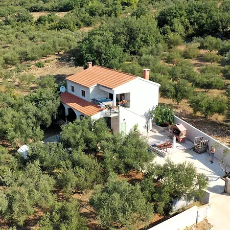 Vila Olive Garden Platinum, *