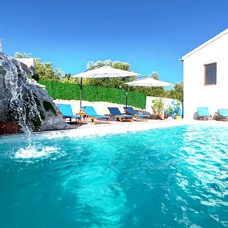 Olive Garden Platinum,