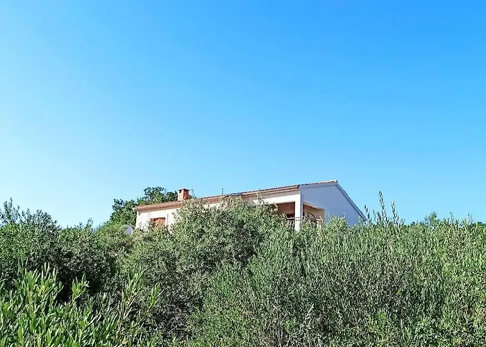 Olive Garden Platinum, * Posedarje