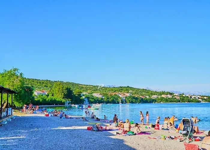 Olive Garden Platinum, Поседарье