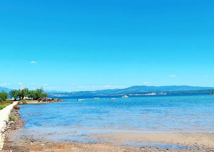 Olive Garden Platinum, * Posedarje