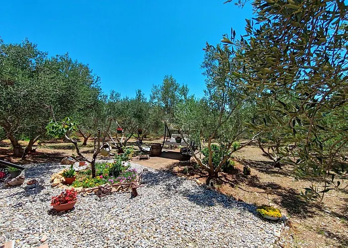 Olive Garden Platinum, *