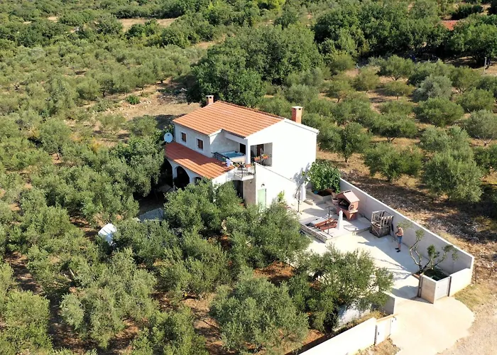 Vila Olive Garden Platinum, *