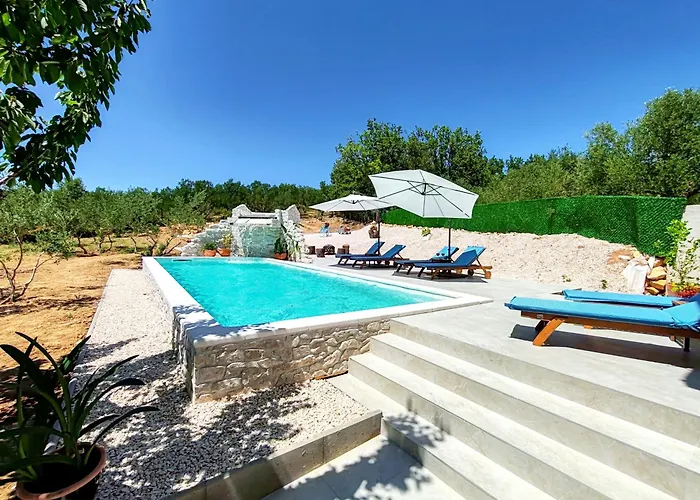 Olive Garden Platinum, *